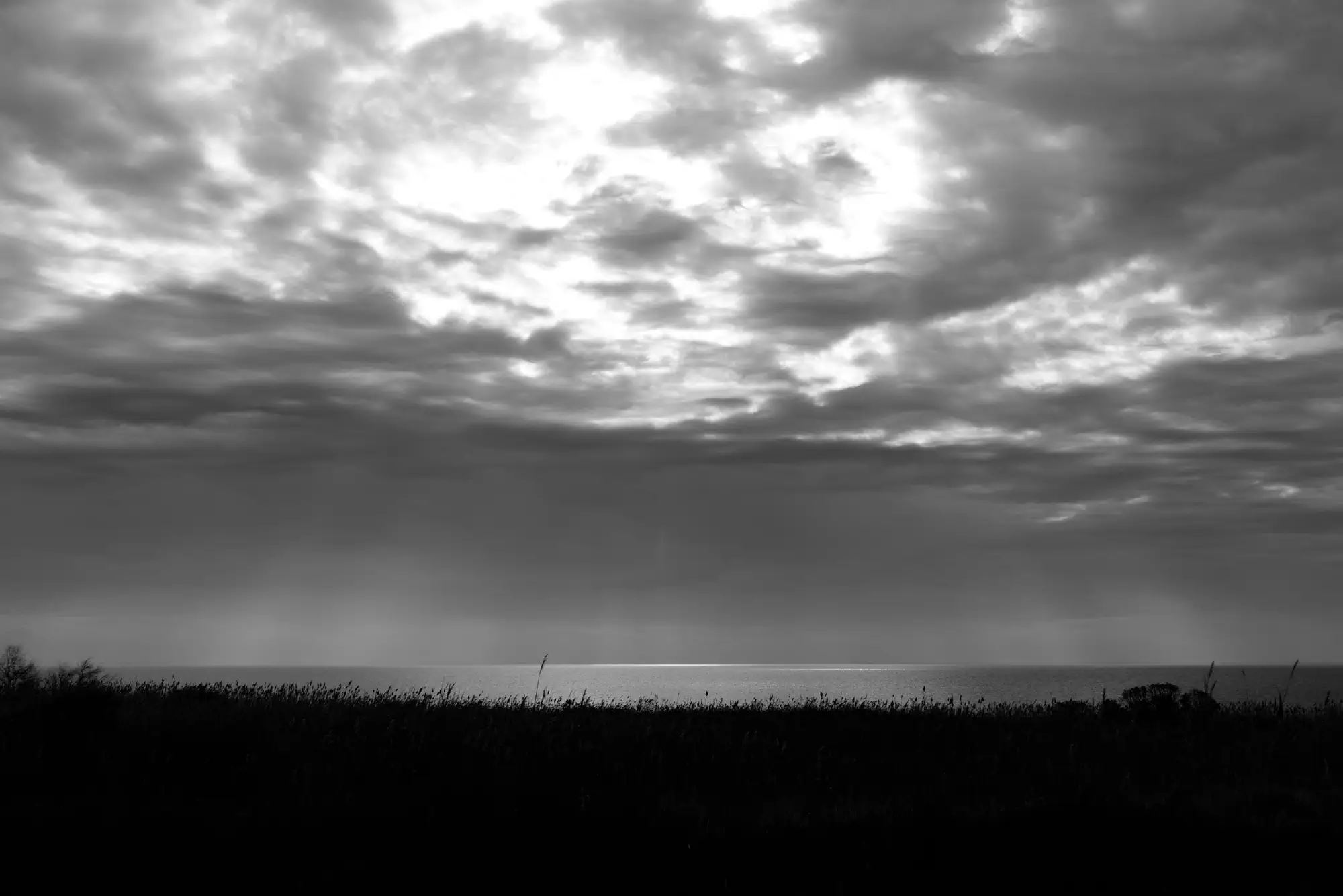 Lac camarguais un jour d'hiver, en noir et blanc