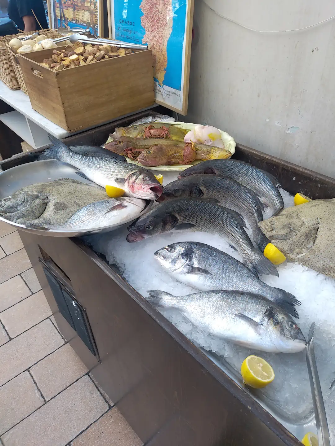 Poissons pour la Bouillabaisse